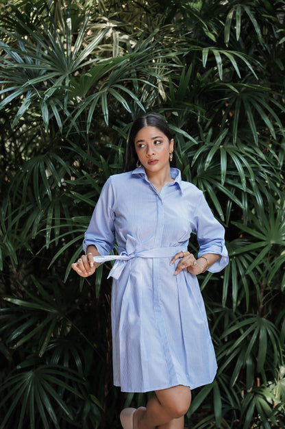 Shirt Dress
