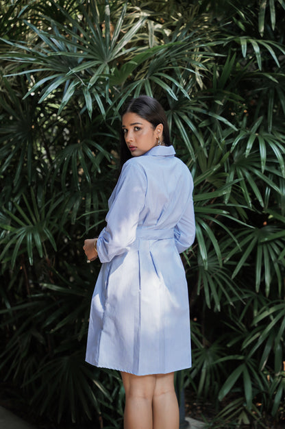 Shirt Dress